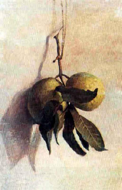 Benedito Calixto Guava China oil painting art